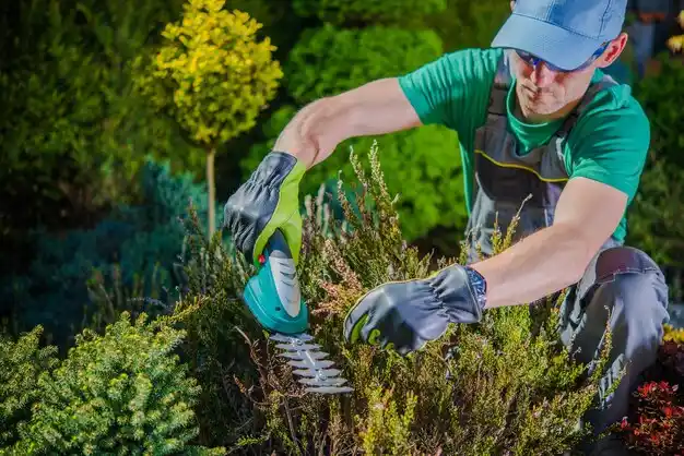 landscaping services Randolph